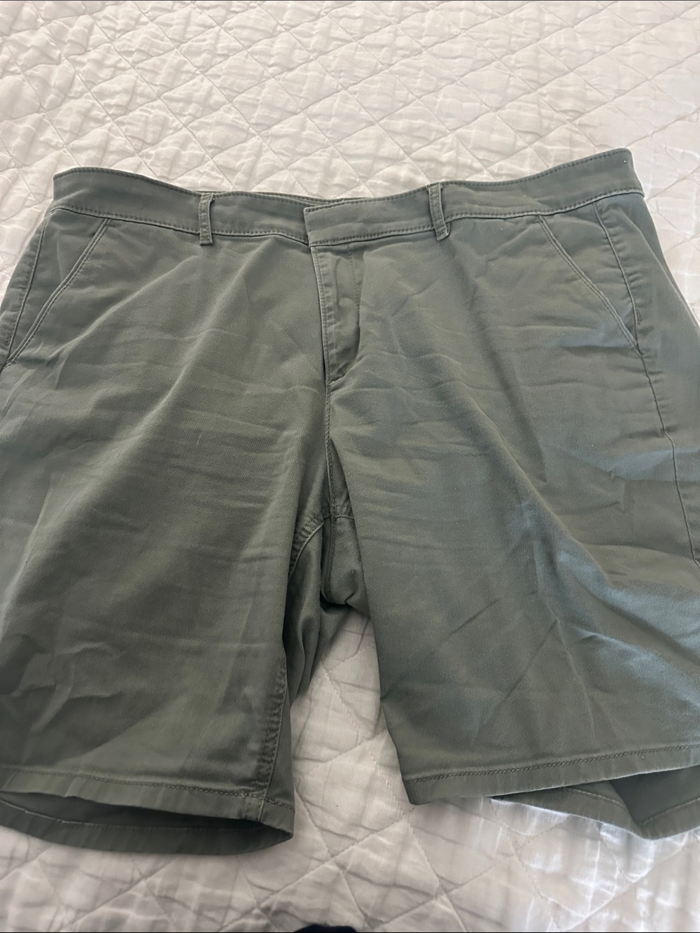 Olive Green Shorts